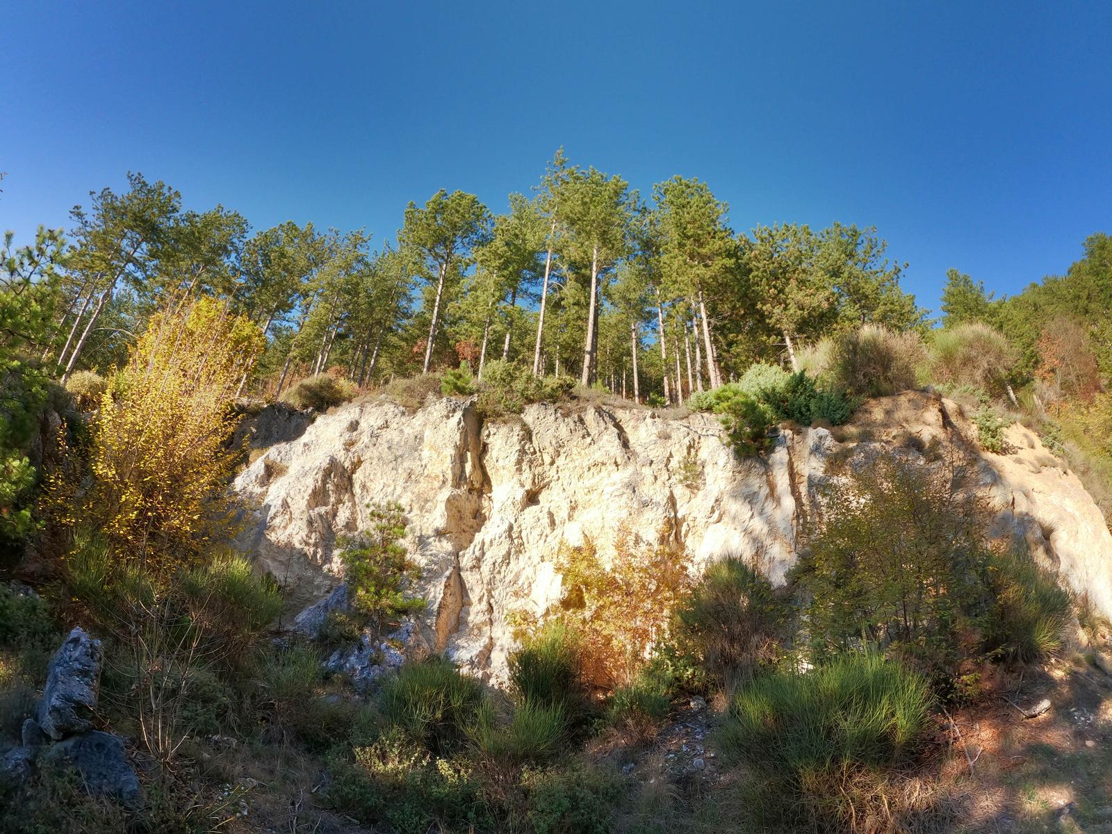 Scogli di cocoione